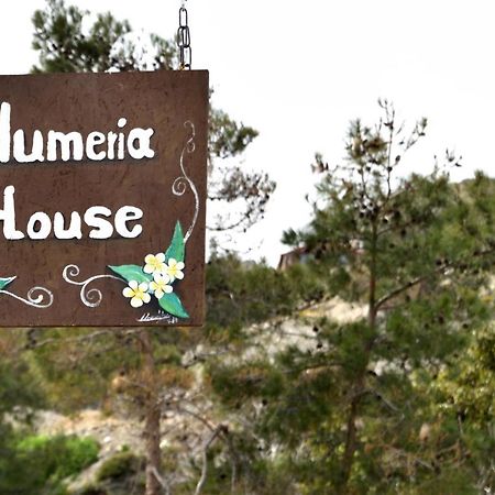 Plumeria House อาร์คานเยโลส ภายนอก รูปภาพ